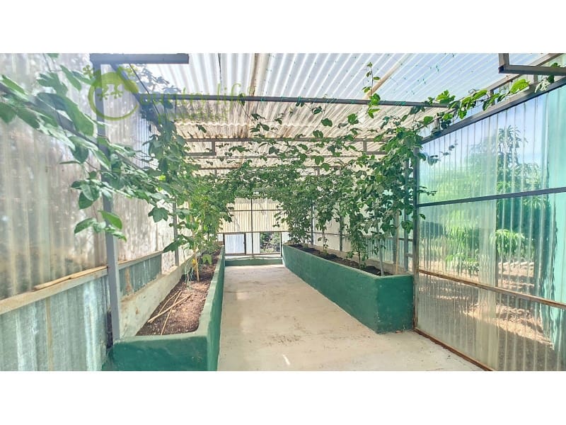 3 sovrum Finca/Hus på landet till salu i Velez-Malaga - 1 150 000 € (Ref: 9582962)