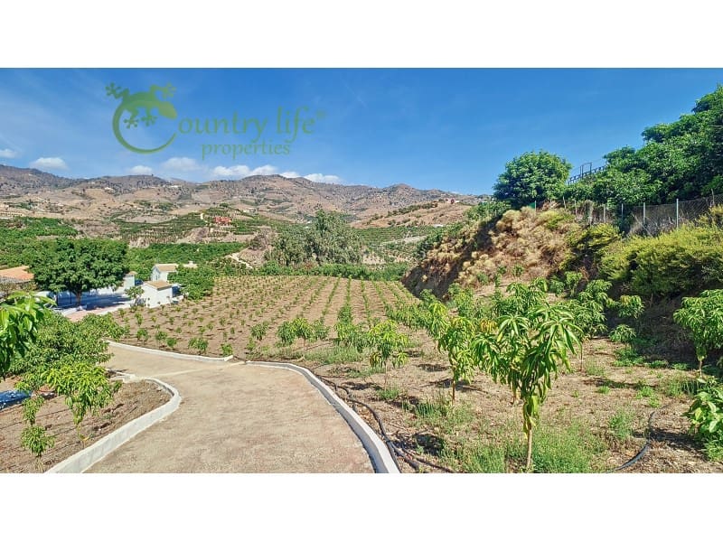 3 sovrum Finca/Hus på landet till salu i Velez-Malaga - 1 150 000 € (Ref: 9582962)