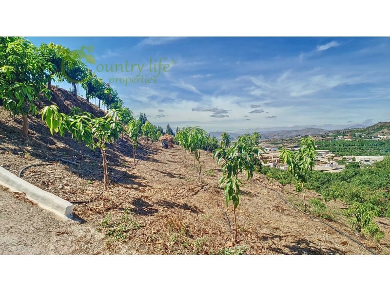 3 sovrum Finca/Hus på landet till salu i Velez-Malaga - 1 150 000 € (Ref: 9582962)