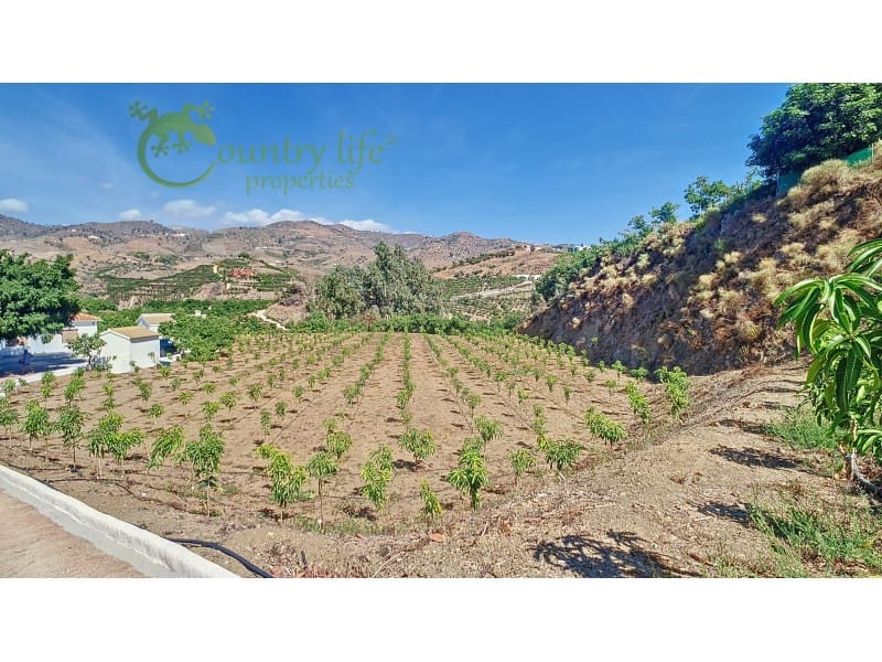 3 sovrum Finca/Hus på landet till salu i Velez-Malaga - 1 150 000 € (Ref: 9582962)