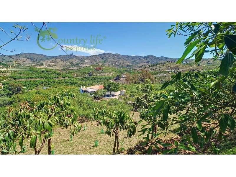 3 sovrum Finca/Hus på landet till salu i Velez-Malaga - 1 150 000 € (Ref: 9582962)