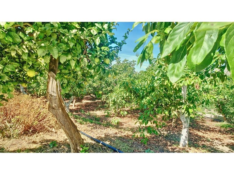 3 sovrum Finca/Hus på landet till salu i Velez-Malaga - 1 150 000 € (Ref: 9582962)