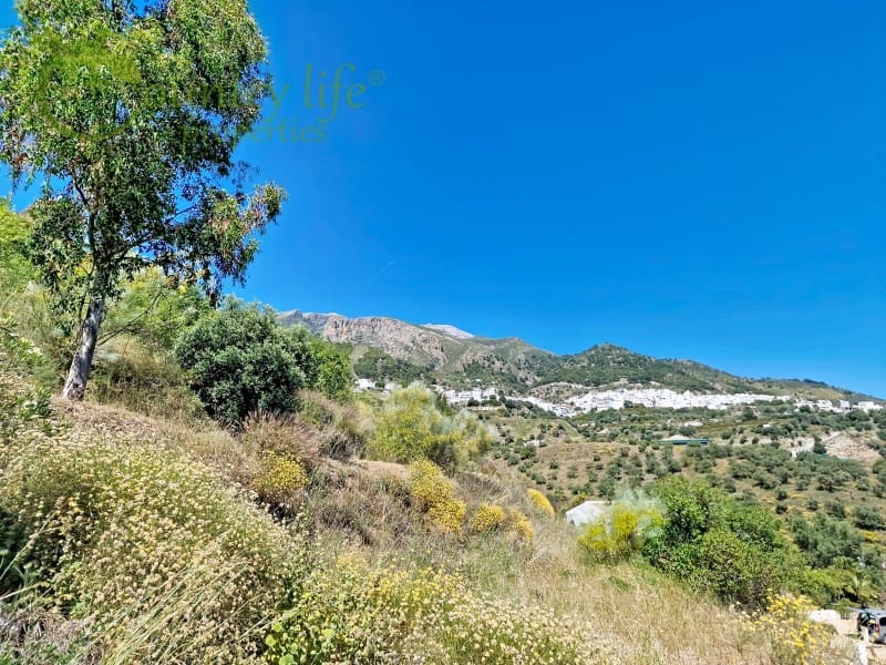 3 soveværelse Finca/Landehus til salg i Canillas de Aceituno - € 499.000 (Ref: 9973000)