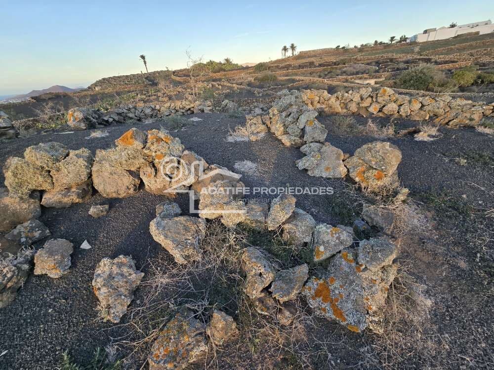 6 soverom Finca/Herregård til salgs i Tiagua - € 510 000 (Ref: 8766323)