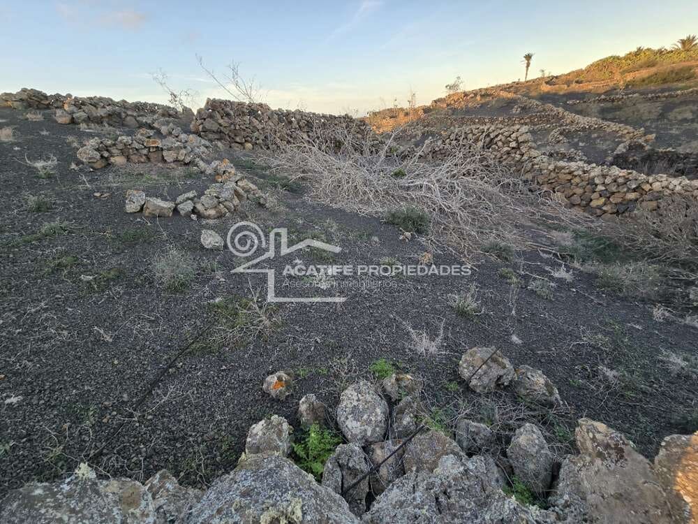 6 soverom Finca/Herregård til salgs i Tiagua - € 510 000 (Ref: 8766323)