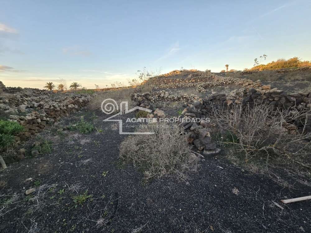 6 soverom Finca/Herregård til salgs i Tiagua - € 510 000 (Ref: 8766323)