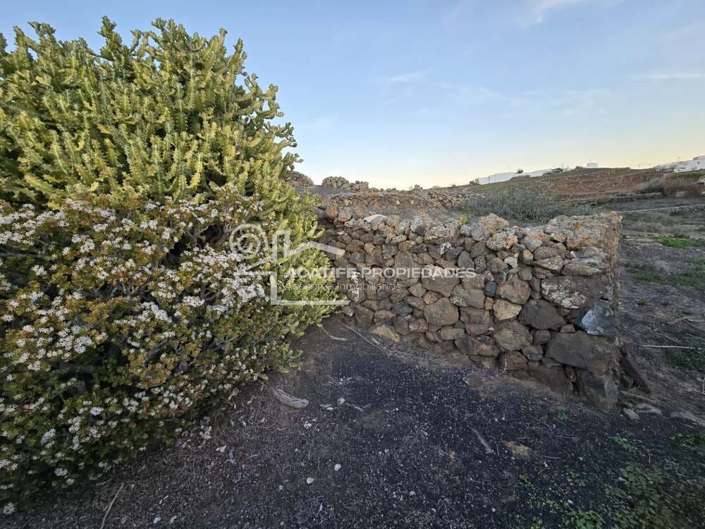 6 soverom Finca/Herregård til salgs i Tiagua - € 510 000 (Ref: 8766323)