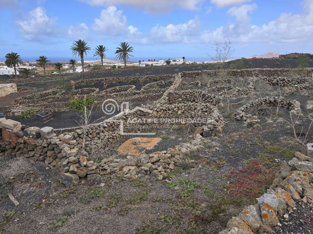 6 soverom Finca/Herregård til salgs i Tiagua - € 510 000 (Ref: 8766323)