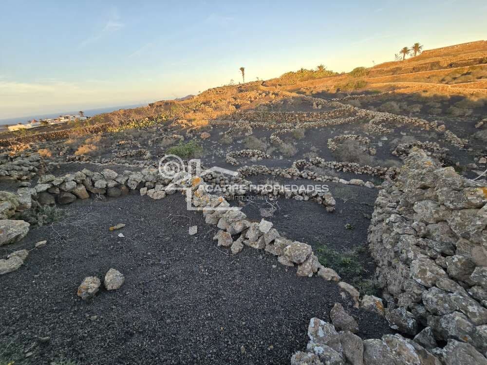 6 soverom Finca/Herregård til salgs i Tiagua - € 510 000 (Ref: 8766323)