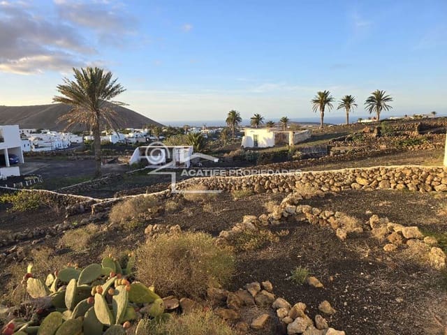 6 soveværelse Finca/Landehus til salg i Tiagua, Teguise - € 510.000 (Ref: 8766323)