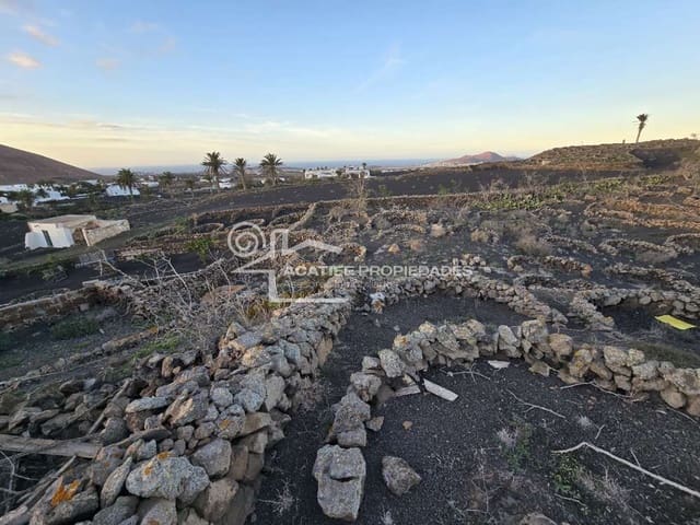 6 soverom Finca/Herregård til salgs i Tiagua, Teguise - € 510 000 (Ref: 8766323)