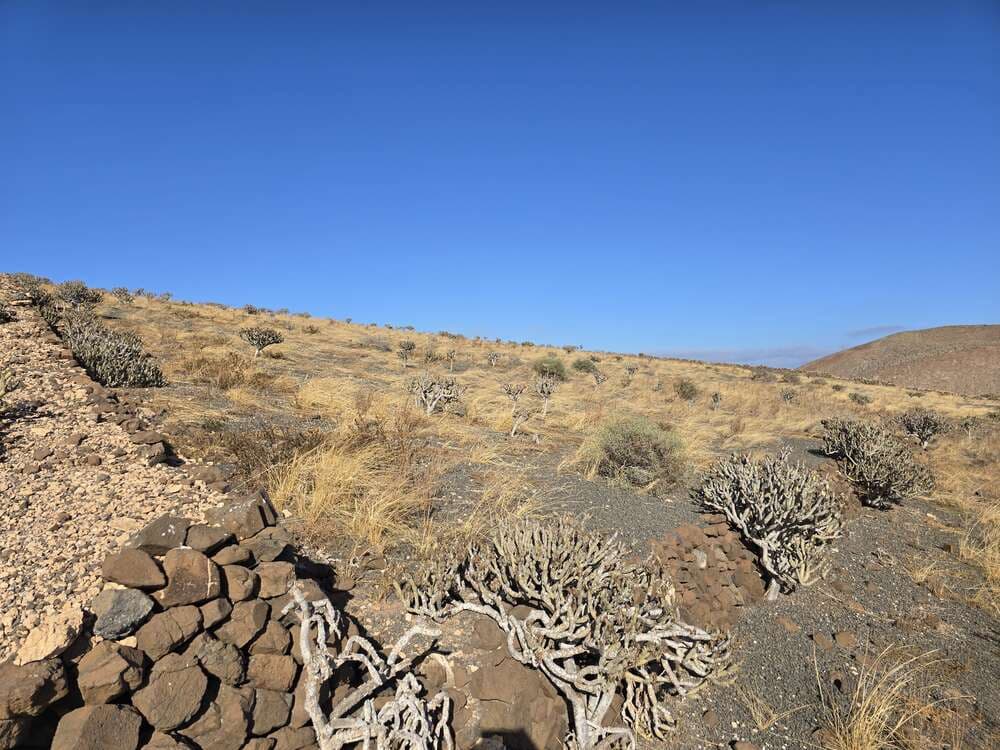 Byggegrund til salg i El Mojon - € 66.000 (Ref: 9141233)