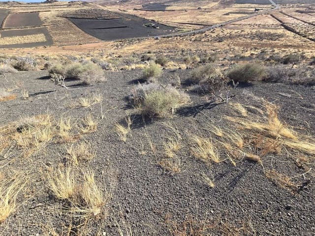 Bouwgrond te koop in El Mojon, Teguise - € 66.000 (Ref: 9141233)