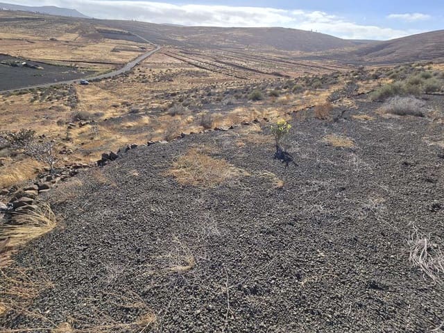 Tontti myytävänä paikassa El Mojon, Teguise - 59 000 € (Ref: 9141233)