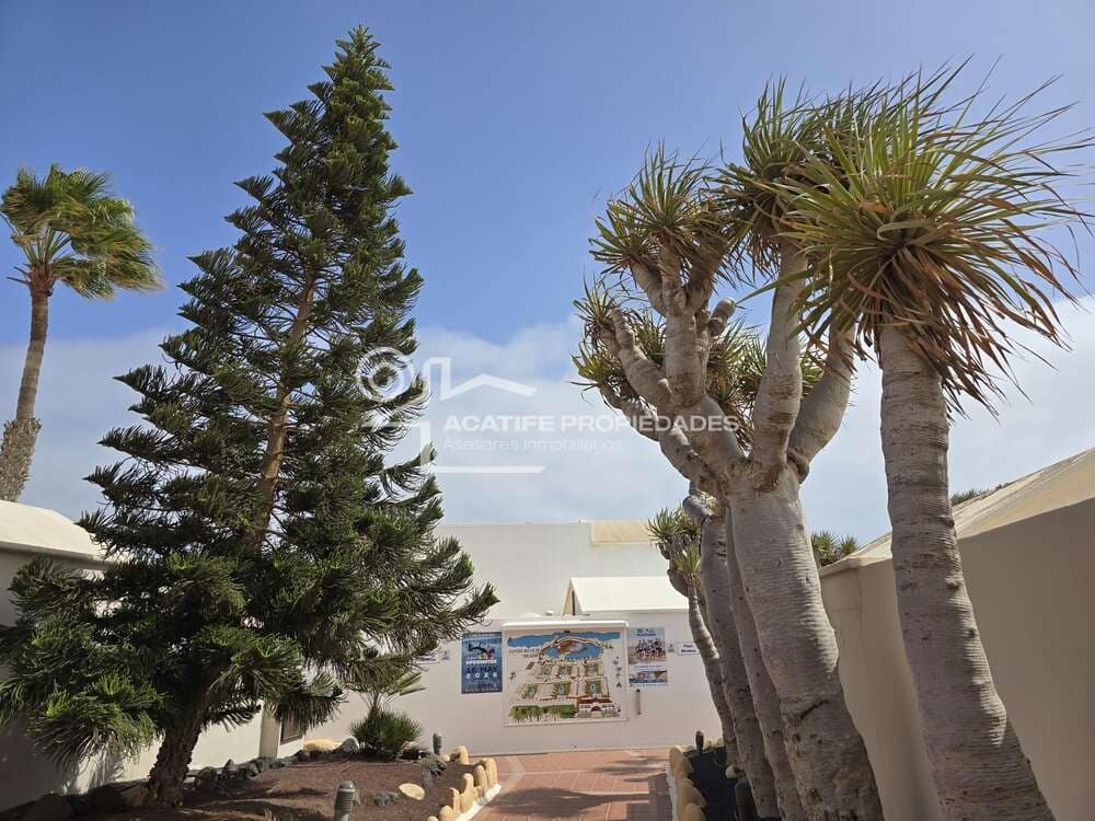 Studio na sprzedaż w Costa Teguise - 120 000 € (Ref: 9308135)
