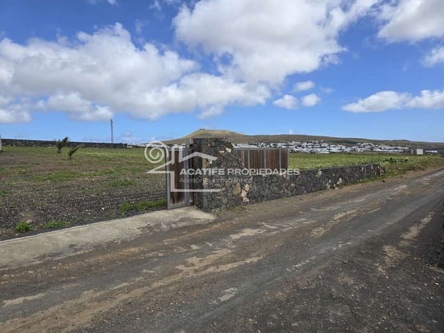 Tontti myytävänä paikassa Teguise - 199 000 € (Ref: 9700343)