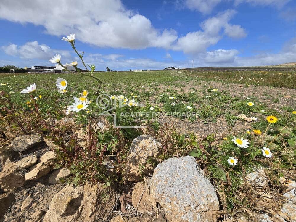 Building Plot for sale in Teguise - € 199,000 (Ref: 9700343)