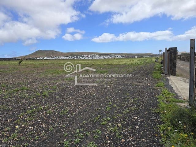 Tontti myytävänä paikassa Teguise - 199 000 € (Ref: 9700343)