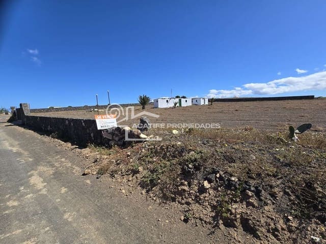 Solar/Parcela en Teguise en venta - 199.000 € (Ref: 9700343)