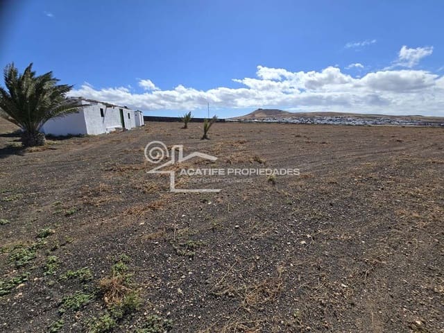 Solar/Parcela en Teguise en venta - 199.000 € (Ref: 9700343)