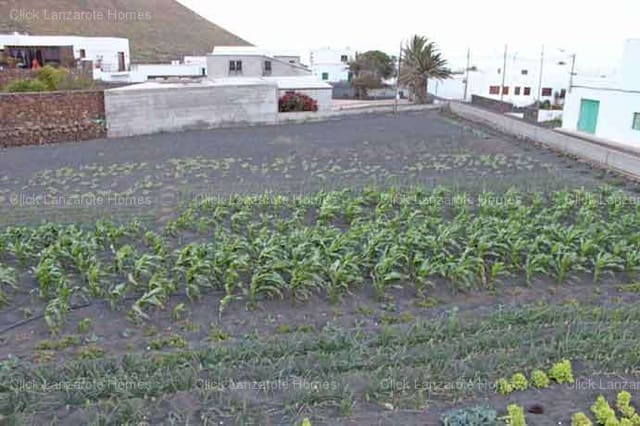 3 soveværelse Finca/Landehus til salg i Guatiza, Teguise - € 249.000 (Ref: 9204207)