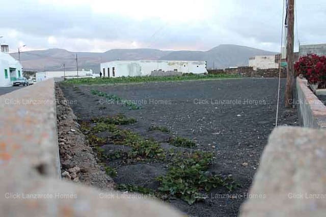 3 soveværelse Finca/Landehus til salg i Guatiza, Teguise - € 249.000 (Ref: 9204207)