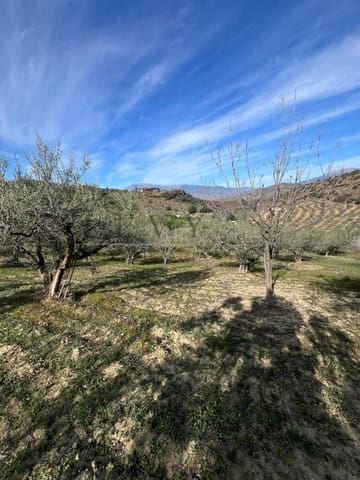 Terreno Non Edificato in vendita in Coín - 160.000 € (Rif: 9583339)