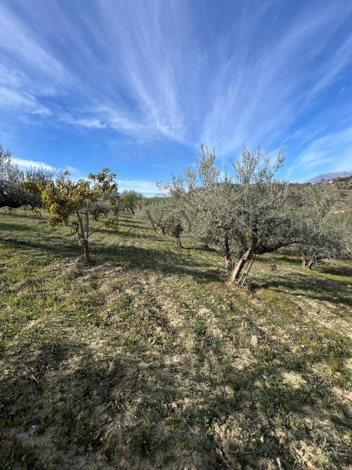 Undeveloped Land for sale in Coin - € 160,000 (Ref: 9583339)