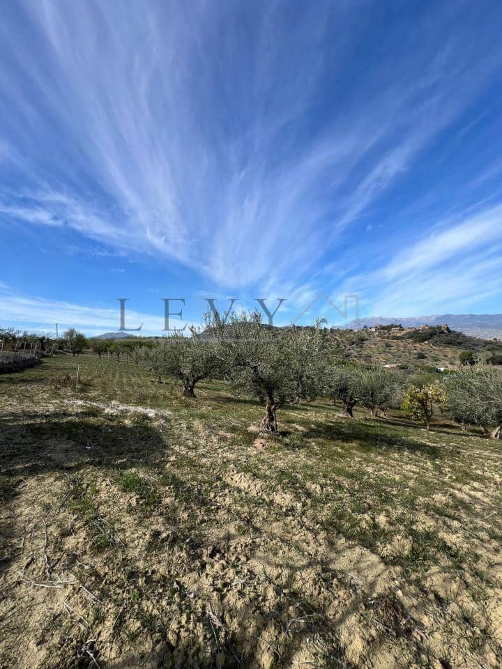 Undeveloped Land for sale in Coin - € 160,000 (Ref: 9583339)