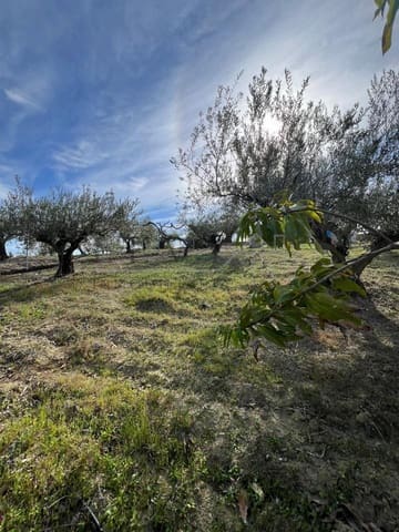 Terreno Non Edificato in vendita in Coín - 160.000 € (Rif: 9583339)