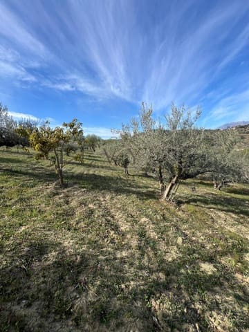 Terreno Non Edificato in vendita in Coín - 160.000 € (Rif: 9583339)