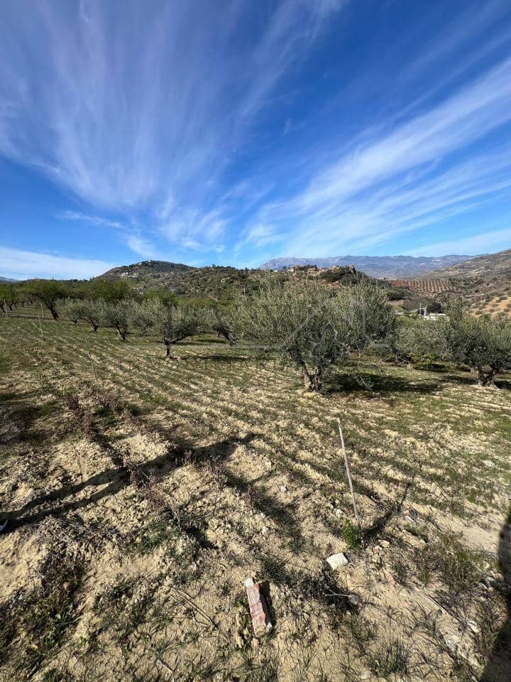 Undeveloped Land for sale in Coin - € 160,000 (Ref: 9583339)