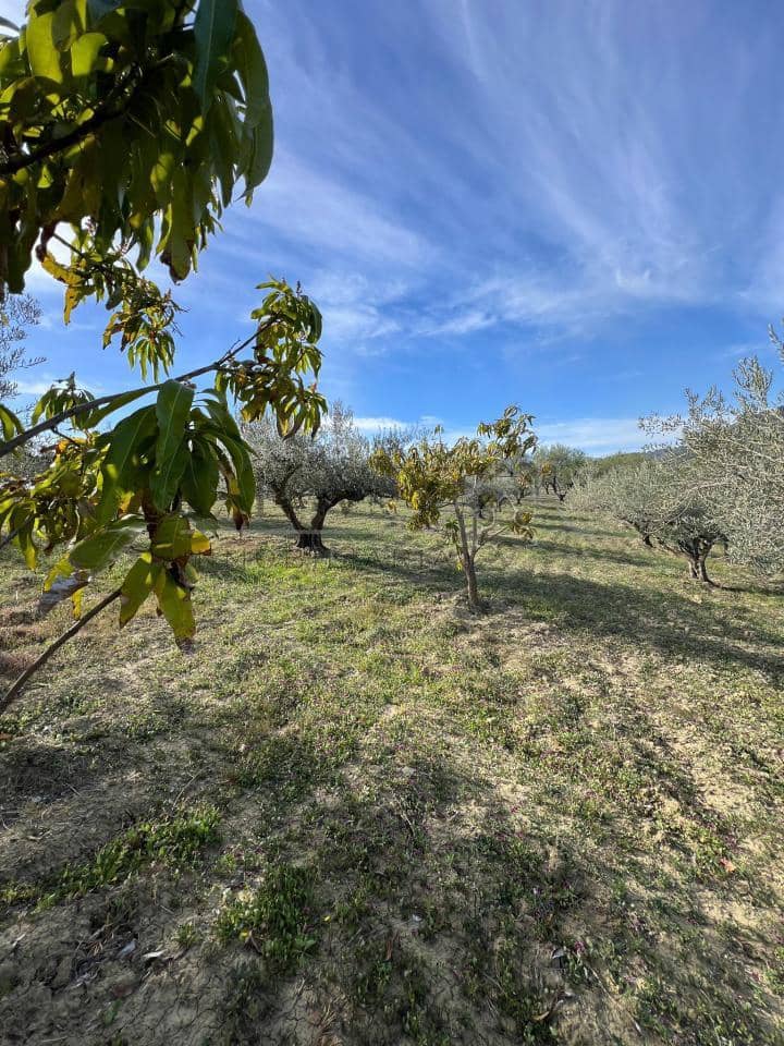 Undeveloped Land for sale in Coin - € 160,000 (Ref: 9583339)