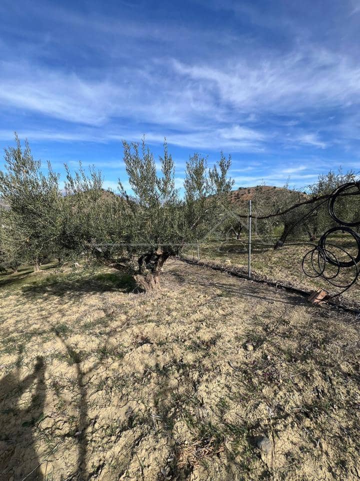 Undeveloped Land for sale in Coin - € 160,000 (Ref: 9583339)