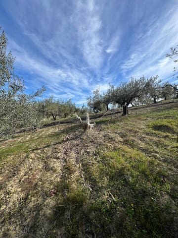 Terreno Non Edificato in vendita in Coín - 160.000 € (Rif: 9583339)