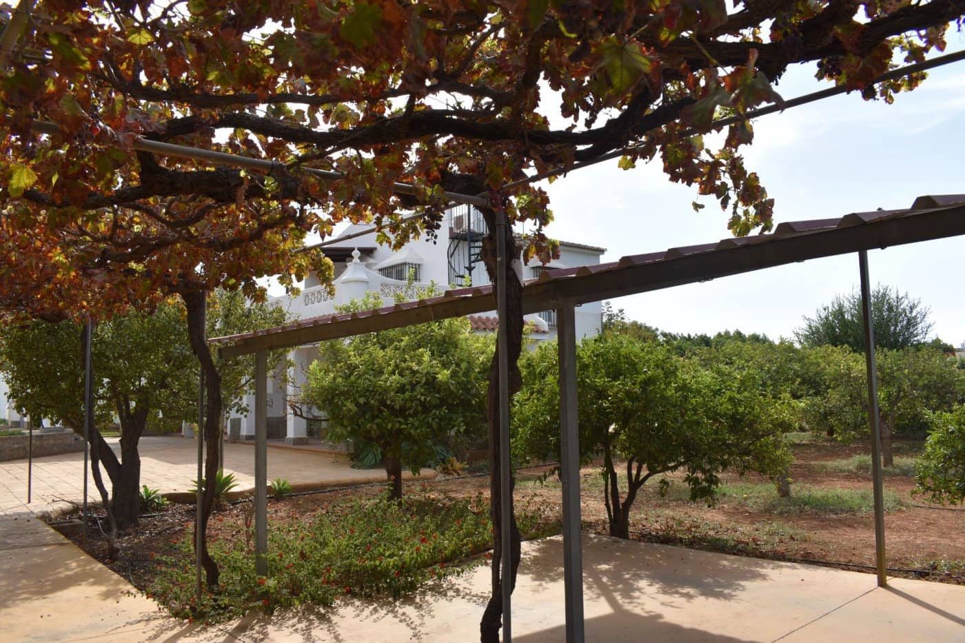 4 chambre Finca/Maison de Campagne à vendre à Alhaurin el Grande avec piscine - 549 900 € (Ref: 7071328)
