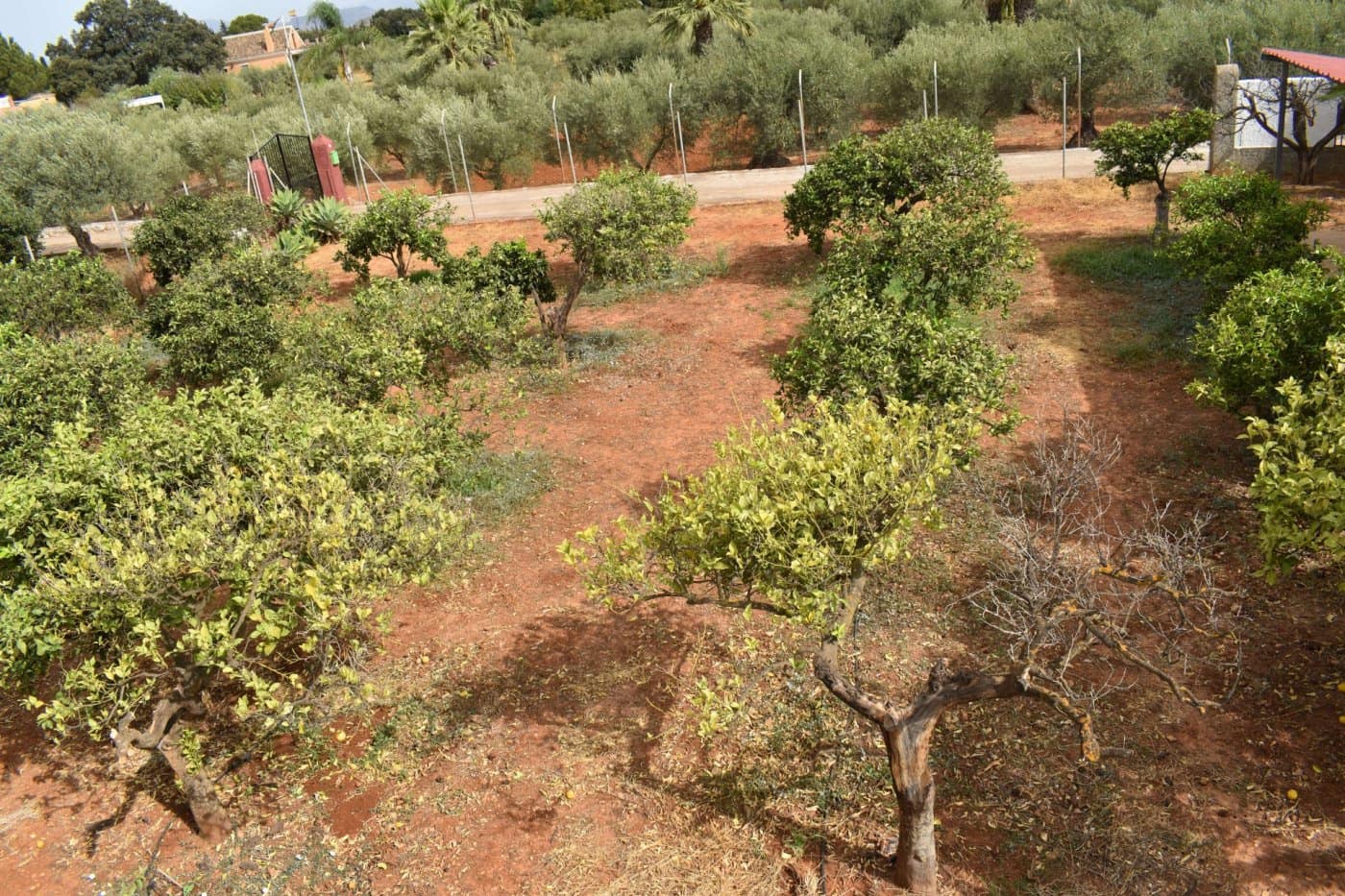 4 chambre Finca/Maison de Campagne à vendre à Alhaurin el Grande avec piscine - 549 900 € (Ref: 7071328)