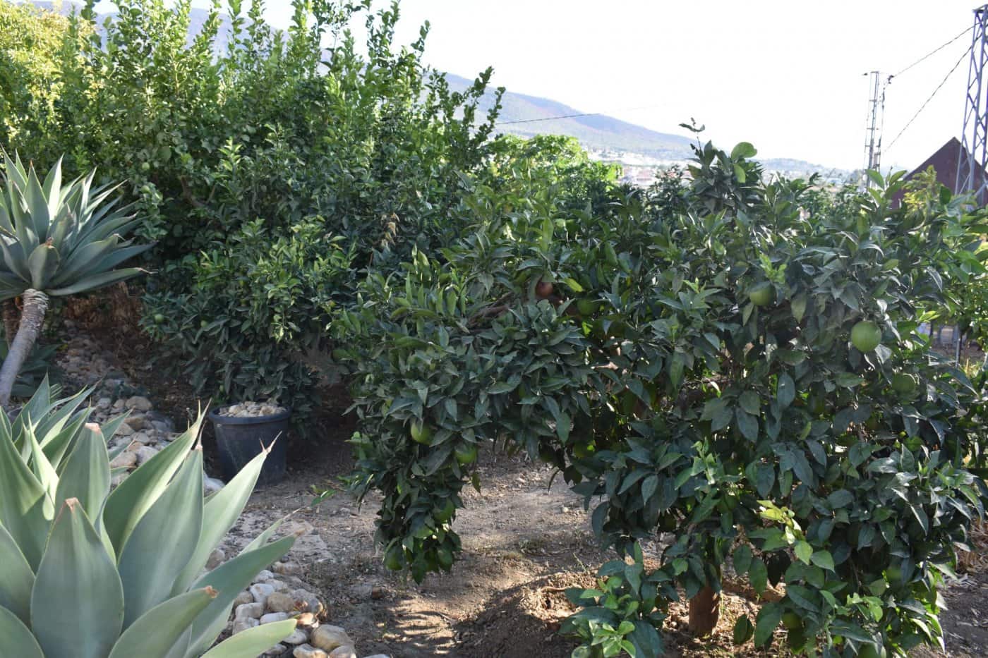 6 soverom Finca/Herregård til salgs i Alhaurin el Grande med svømmebasseng - € 699 995 (Ref: 7110914)