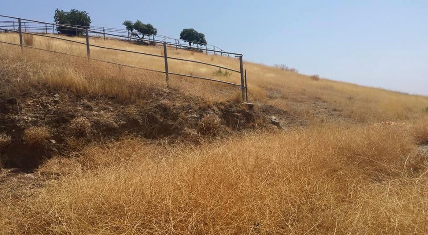 6 bedroom Finca/Country House for sale in Coin - € 1,500,000 (Ref: 7547047)