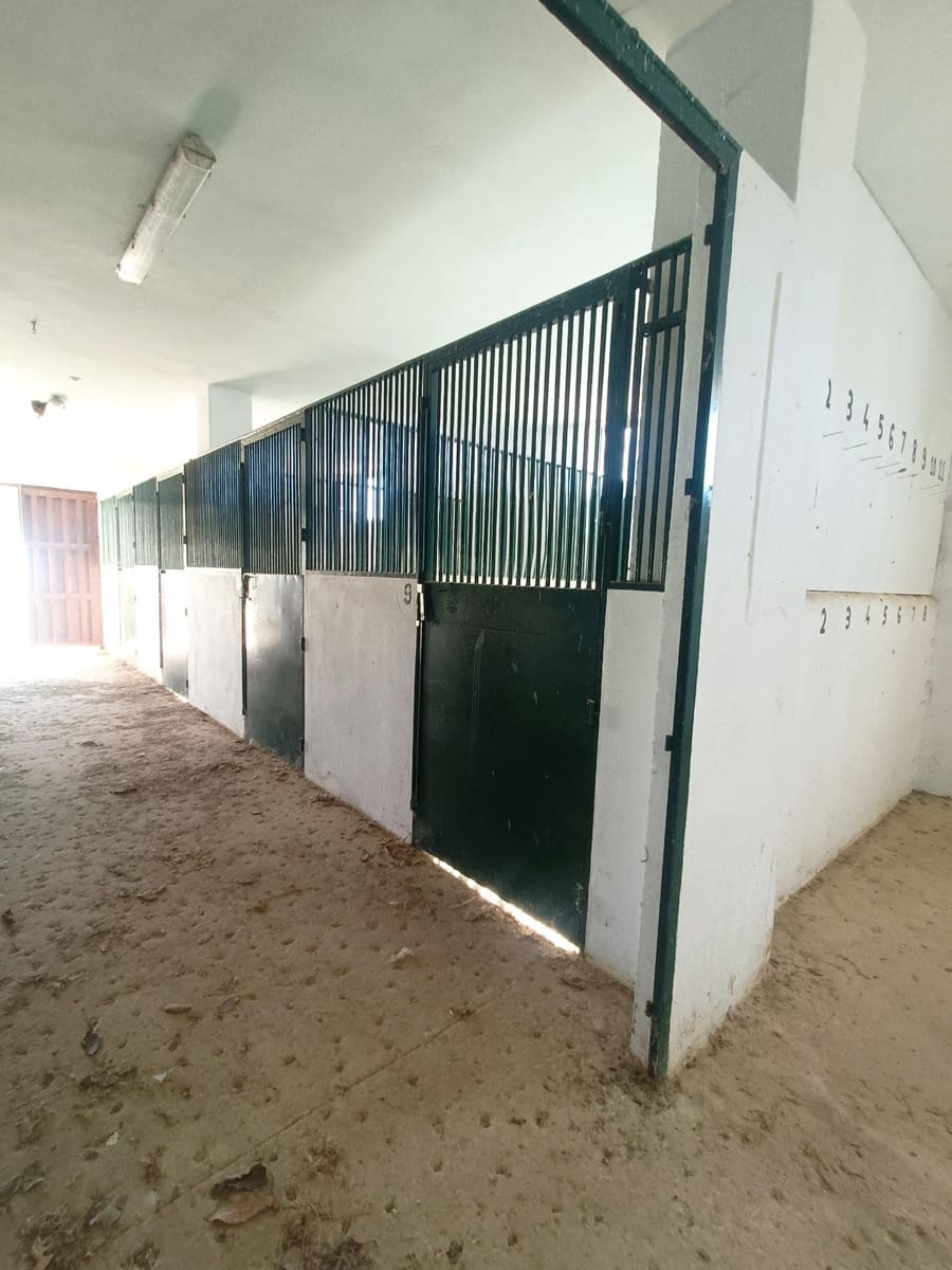 6 bedroom Finca/Country House for sale in Coin - € 1,500,000 (Ref: 7547047)