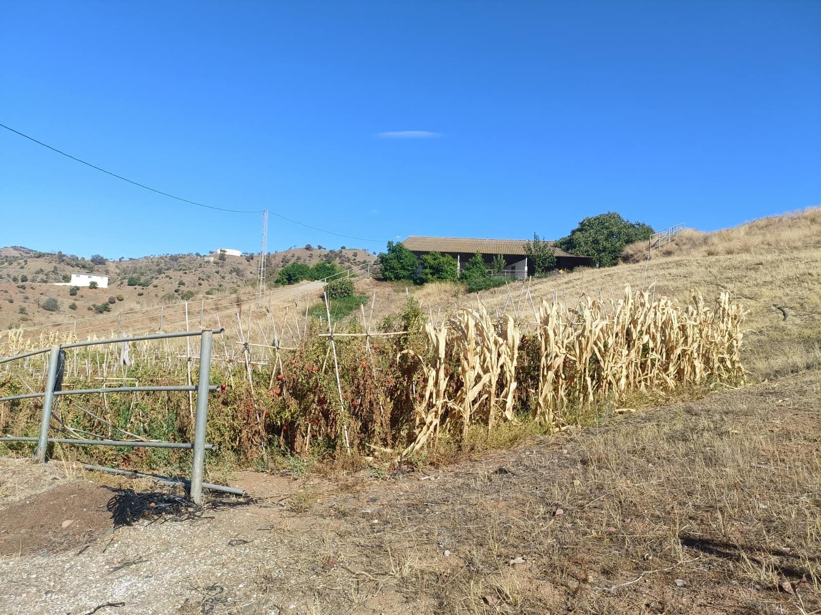 6 bedroom Finca/Country House for sale in Coin - € 1,500,000 (Ref: 7547047)