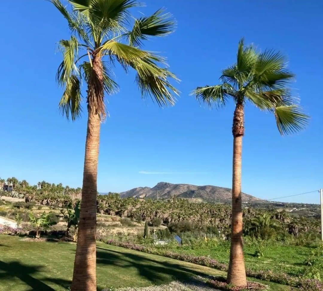 3 sypialnia Finka/Dom wiejski na sprzedaż w Alhaurin el Grande z basenem - 695 000 € (Ref: 7692911)