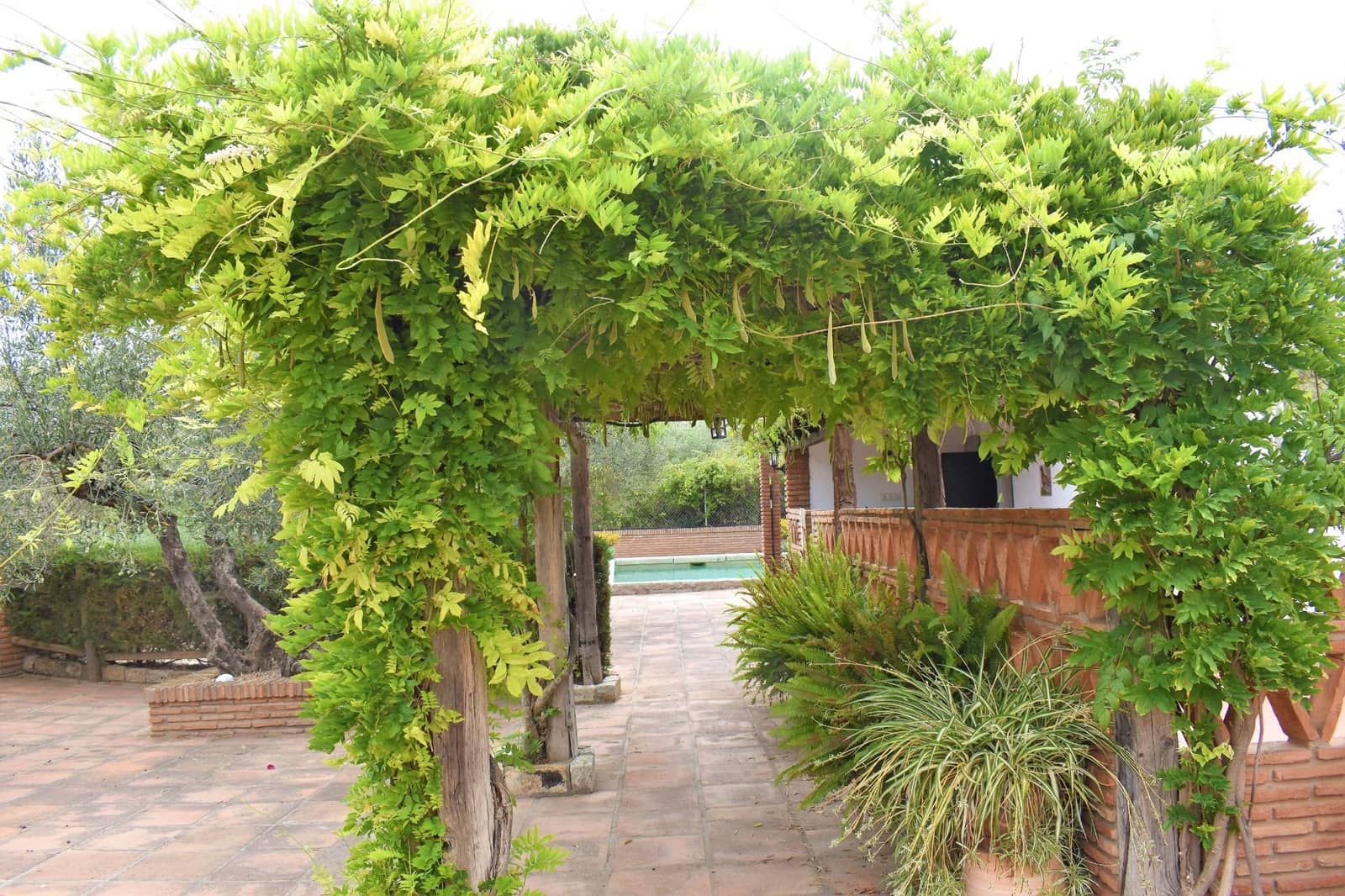 4 sypialnia Finka/Dom wiejski na sprzedaż w Alhaurin de la Torre z basenem - 895 000 € (Ref: 7696450)