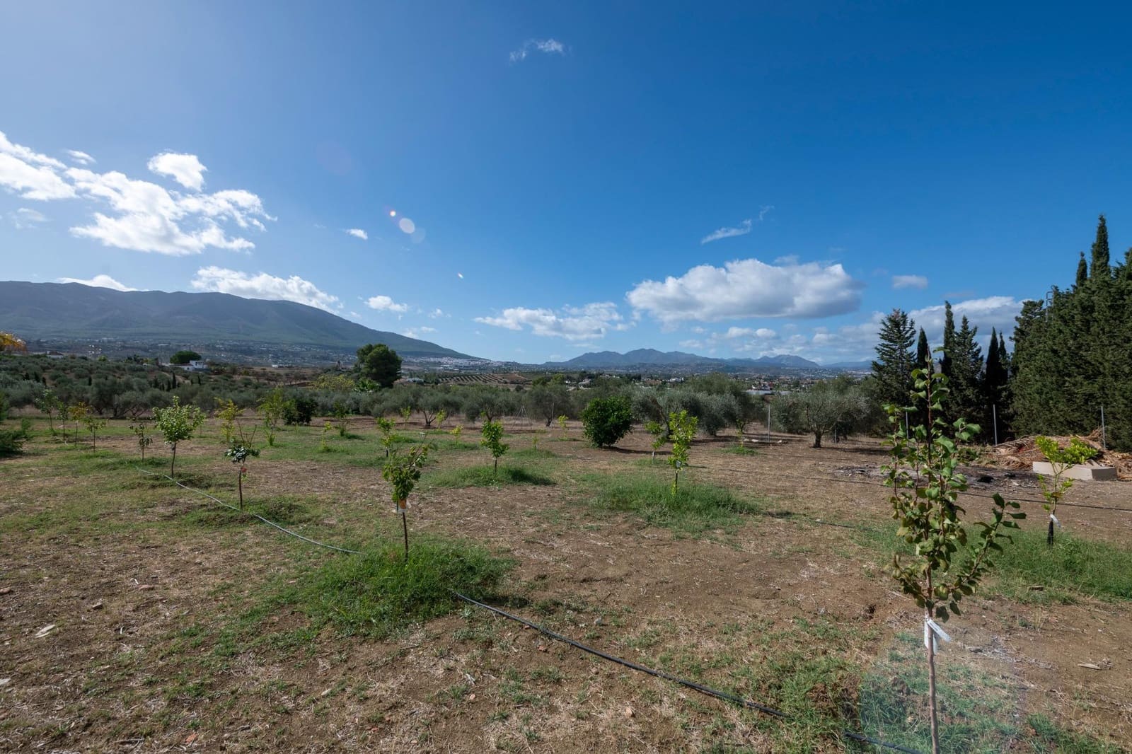 5 sypialnia Finka/Dom wiejski na sprzedaż w Alhaurin el Grande z basenem - 850 000 € (Ref: 7865476)