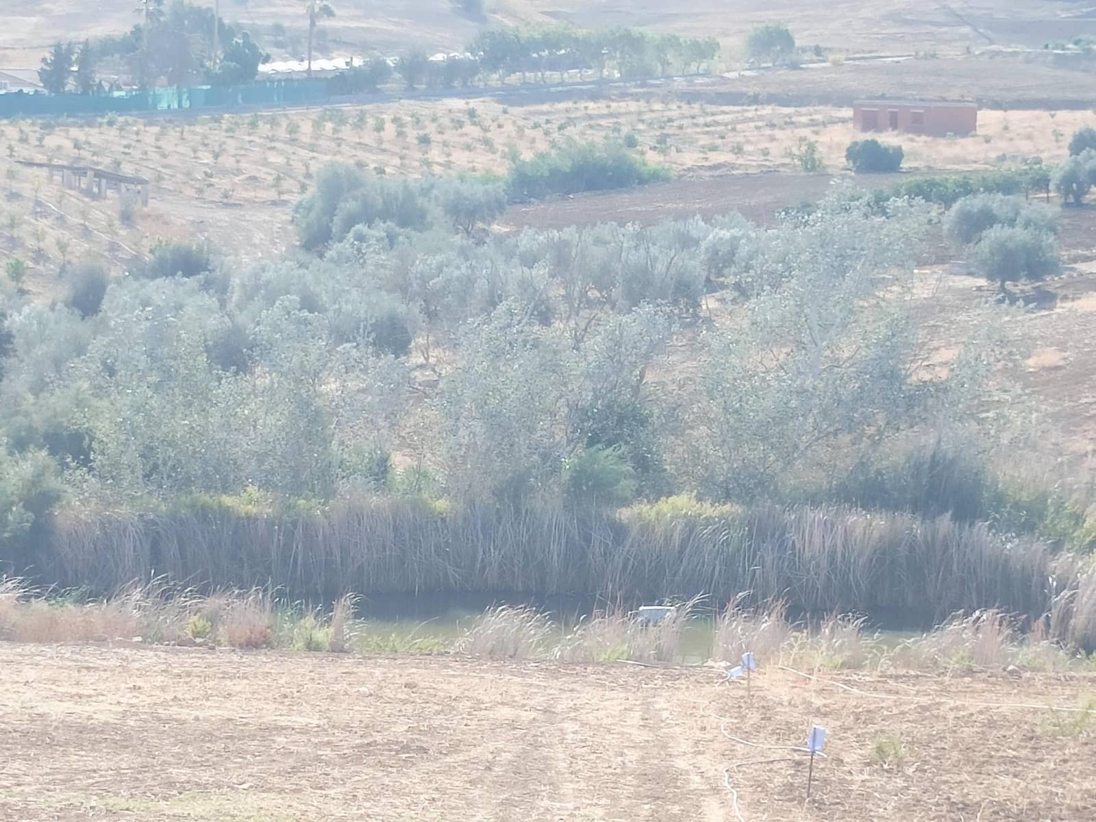 3 bedroom Finca/Country House for sale in Alhaurin el Grande with pool - € 480,000 (Ref: 8564778)