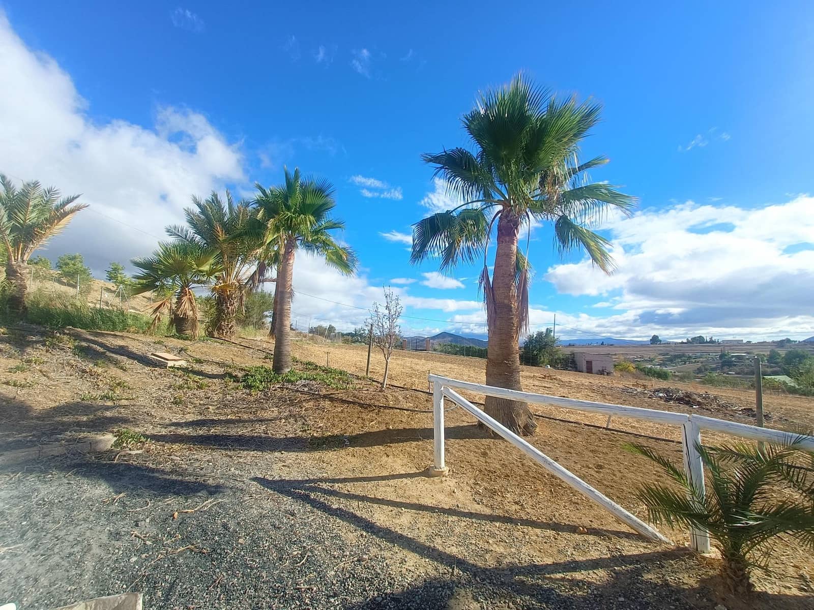 3 bedroom Finca/Country House for sale in Alhaurin el Grande with pool - € 480,000 (Ref: 8564778)