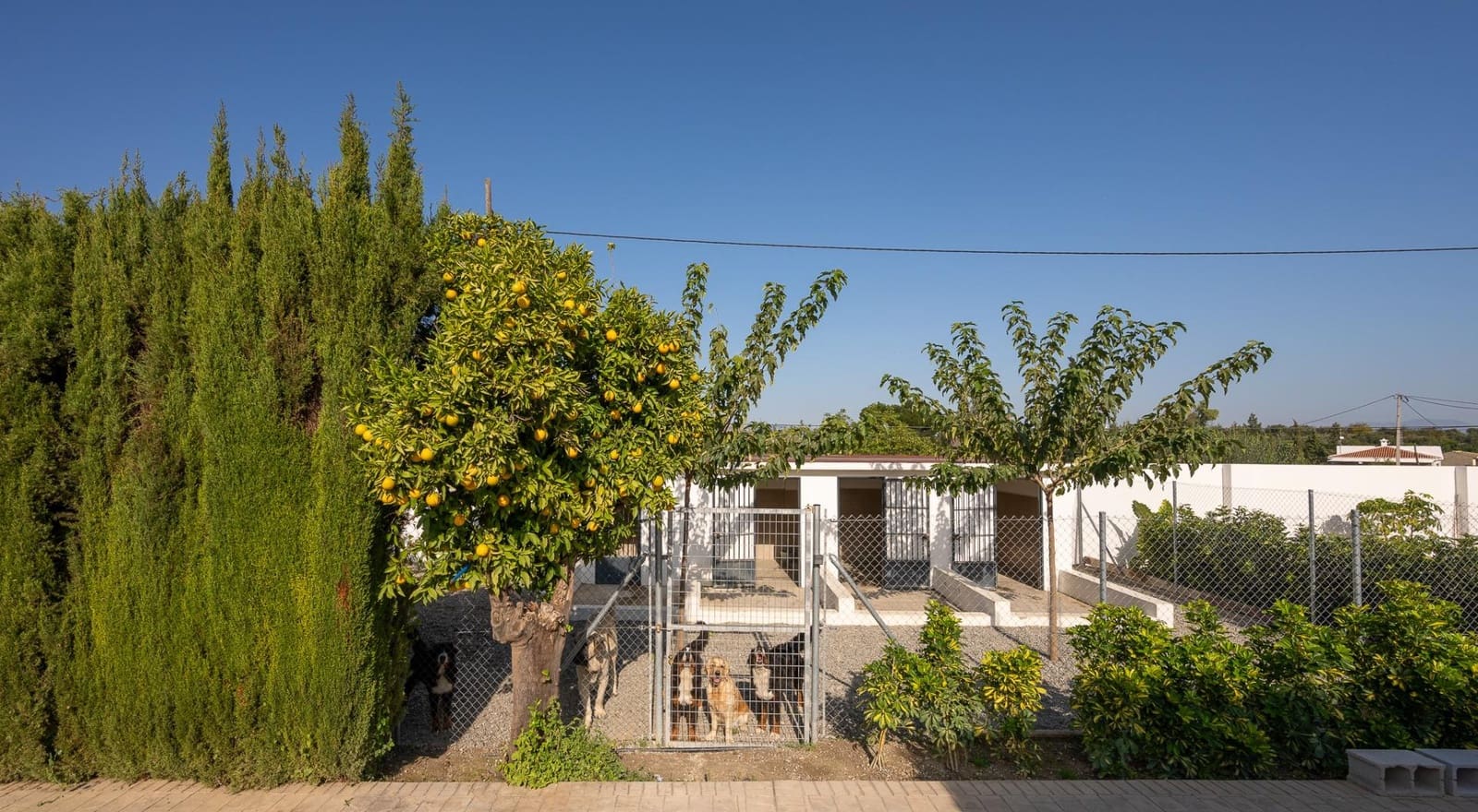 4 camera da letto Villa in vendita in Alhaurin el Grande con piscina garage - 795.000 € (Rif: 8646056)