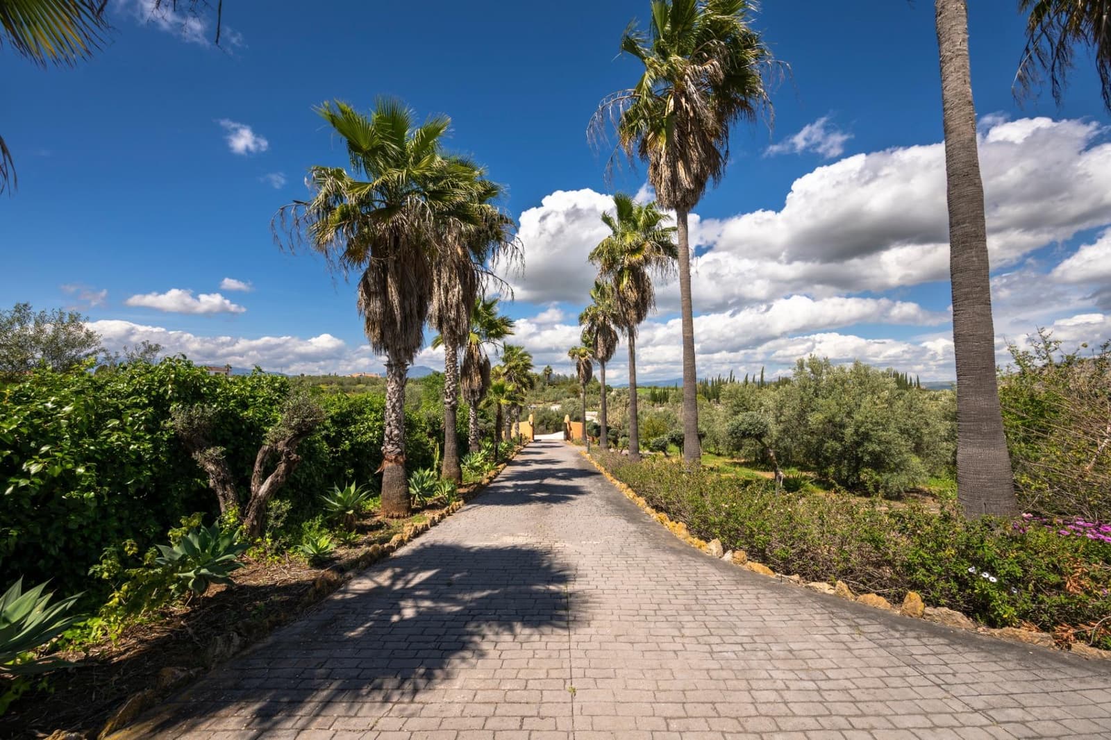 9 quarto Quinta/Casa Rural para venda em Alhaurin el Grande com piscina - 1 150 000 € (Ref: 8843409)