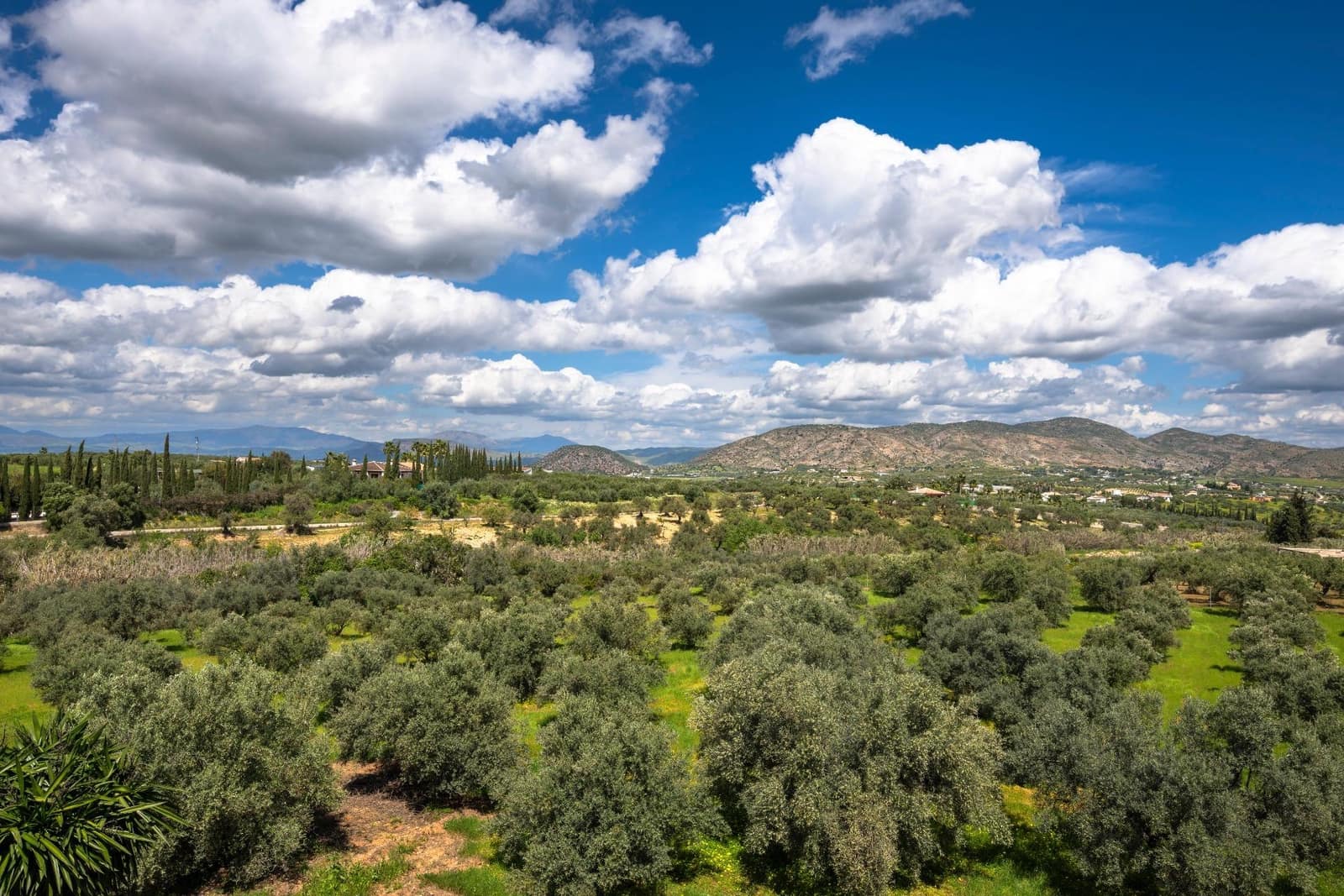 9 quarto Quinta/Casa Rural para venda em Alhaurin el Grande com piscina - 1 150 000 € (Ref: 8843409)