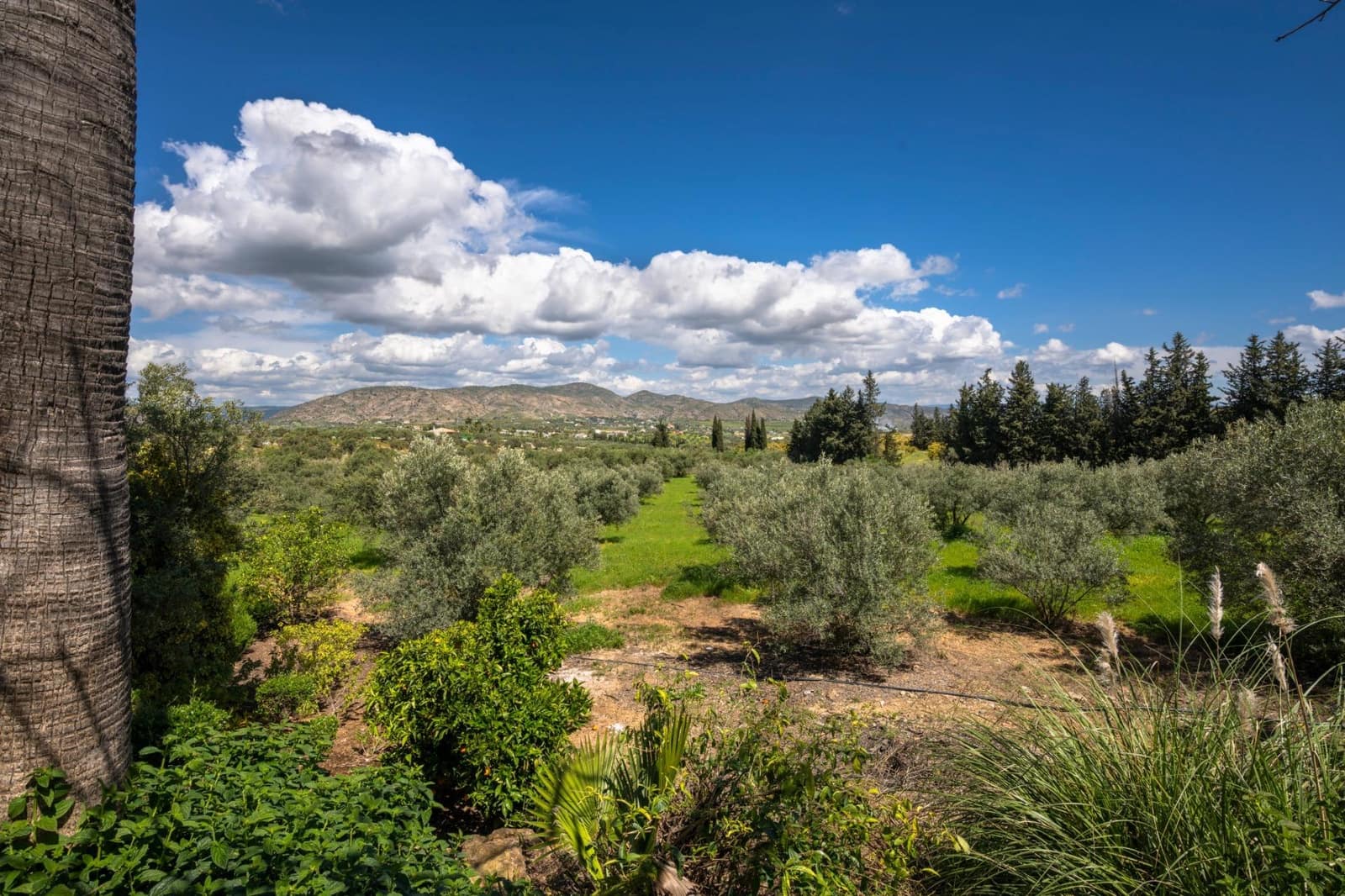 9 quarto Quinta/Casa Rural para venda em Alhaurin el Grande com piscina - 1 150 000 € (Ref: 8843409)